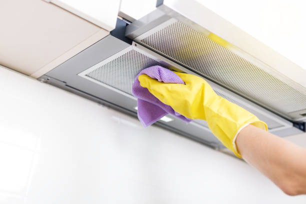 Best Air Duct Sanitizing Services  in USA